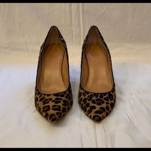 J Crew Leopard Print Pumps